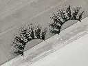 20241121_073847.webp