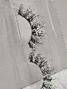 20241121_073910.webp