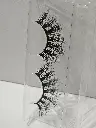 20241121_073902.webp