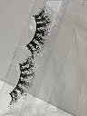 20241121_073932.webp