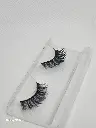 20241230_164312.webp